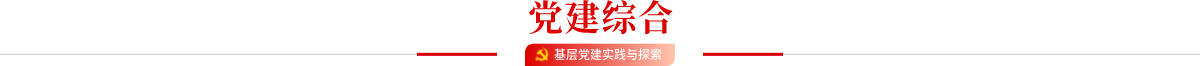 党建综合